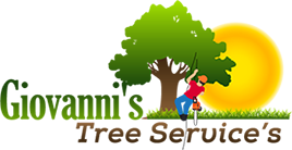 Giovanni’s Tree Service’s